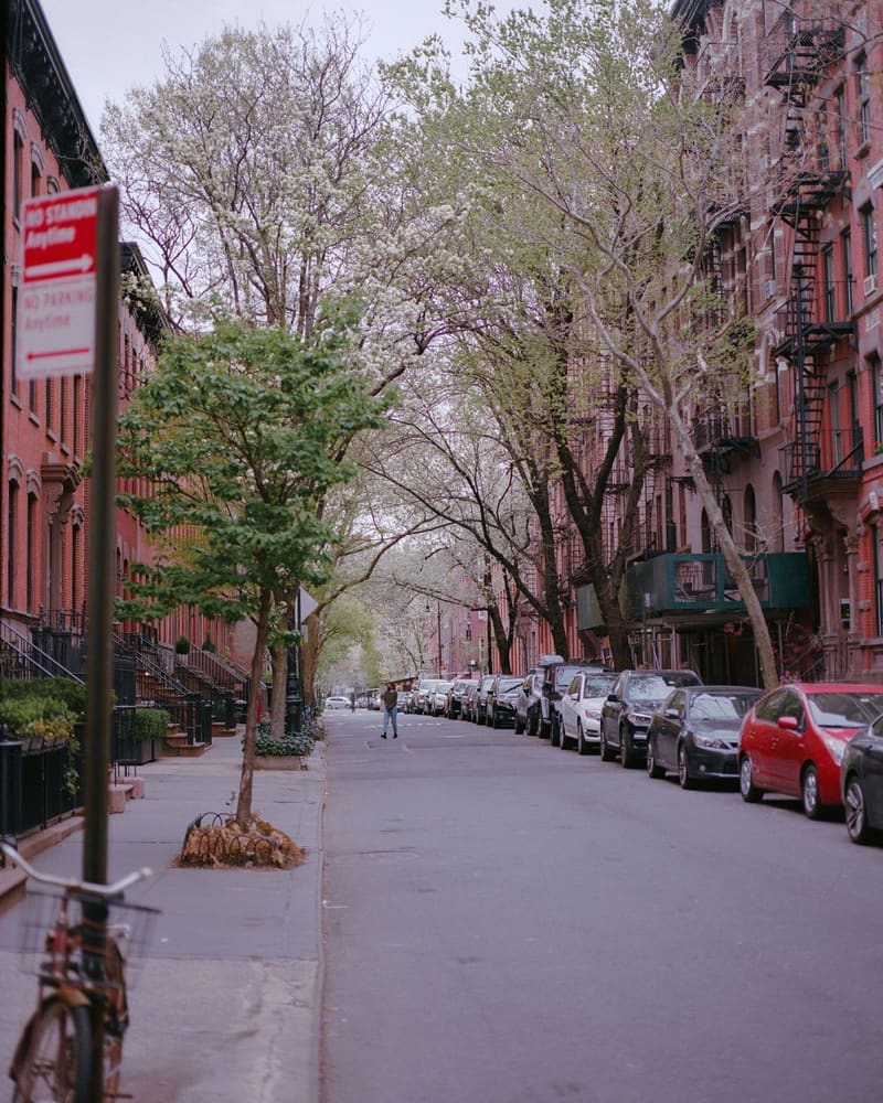 A tree-lined brownstone street in Carroll Gardens, Brooklyn