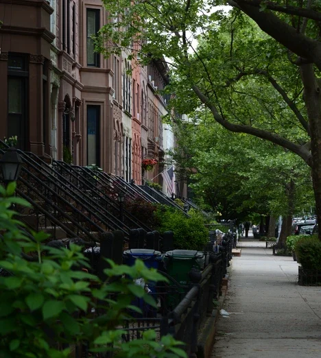 Brownstone stoops under green trees along a Park Slope sidewalk, Brooklyn