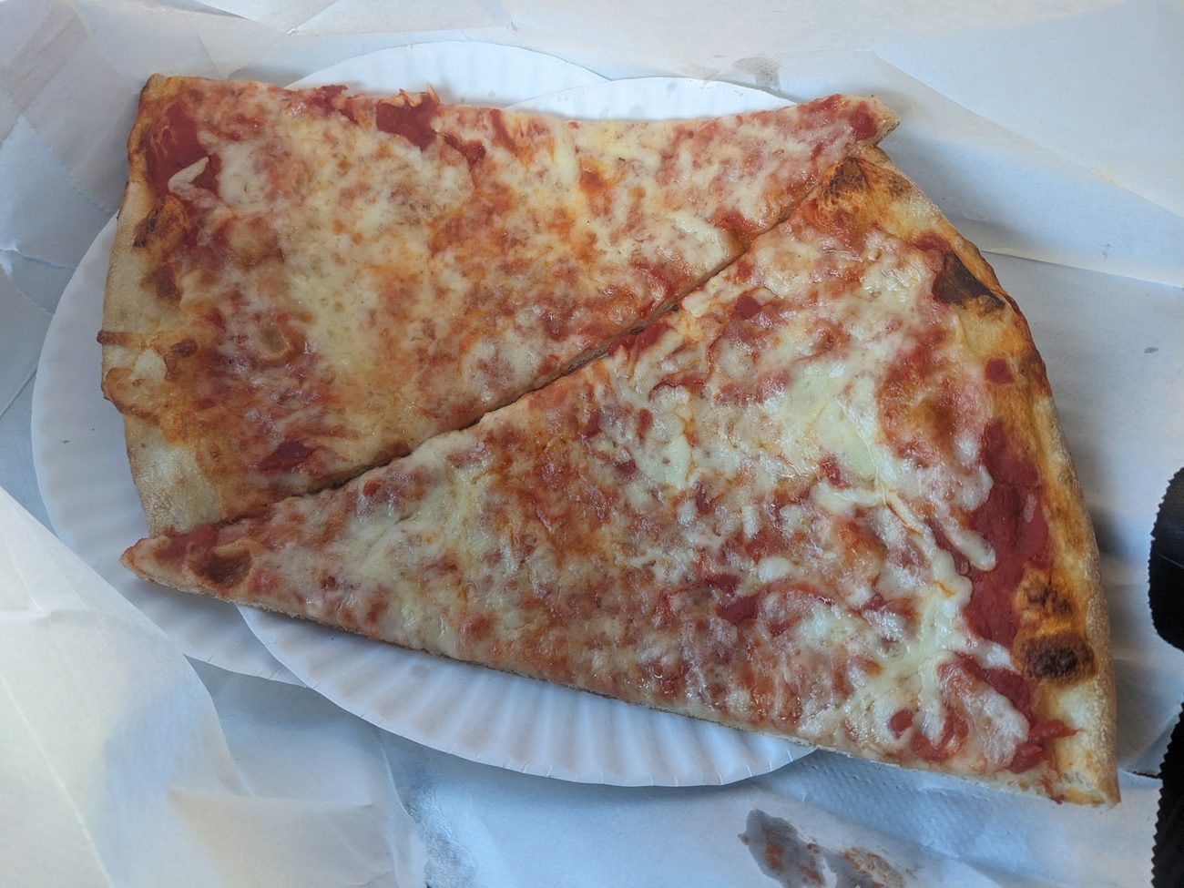 Two wide round cheese slices on a paper plate, edges blistered, cheese browned in patches.